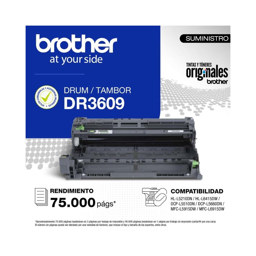 Drum Brother DR3609